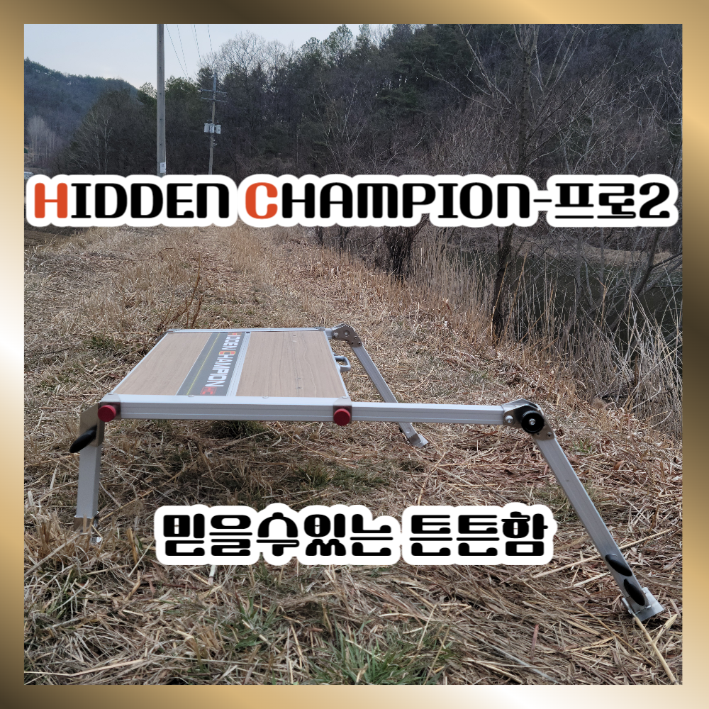 히든챔피언-프로2